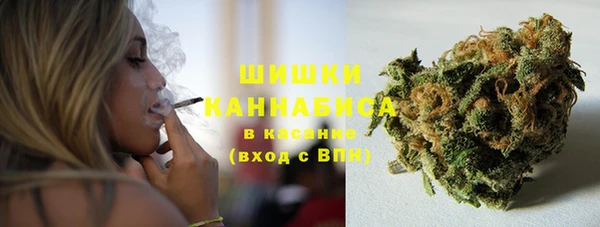 дмт Белокуриха