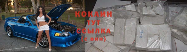 mdpv Богородск